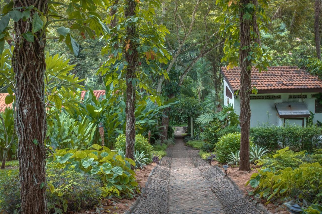 Sweet Songs Jungle Lodge San Ignacio Exterior photo