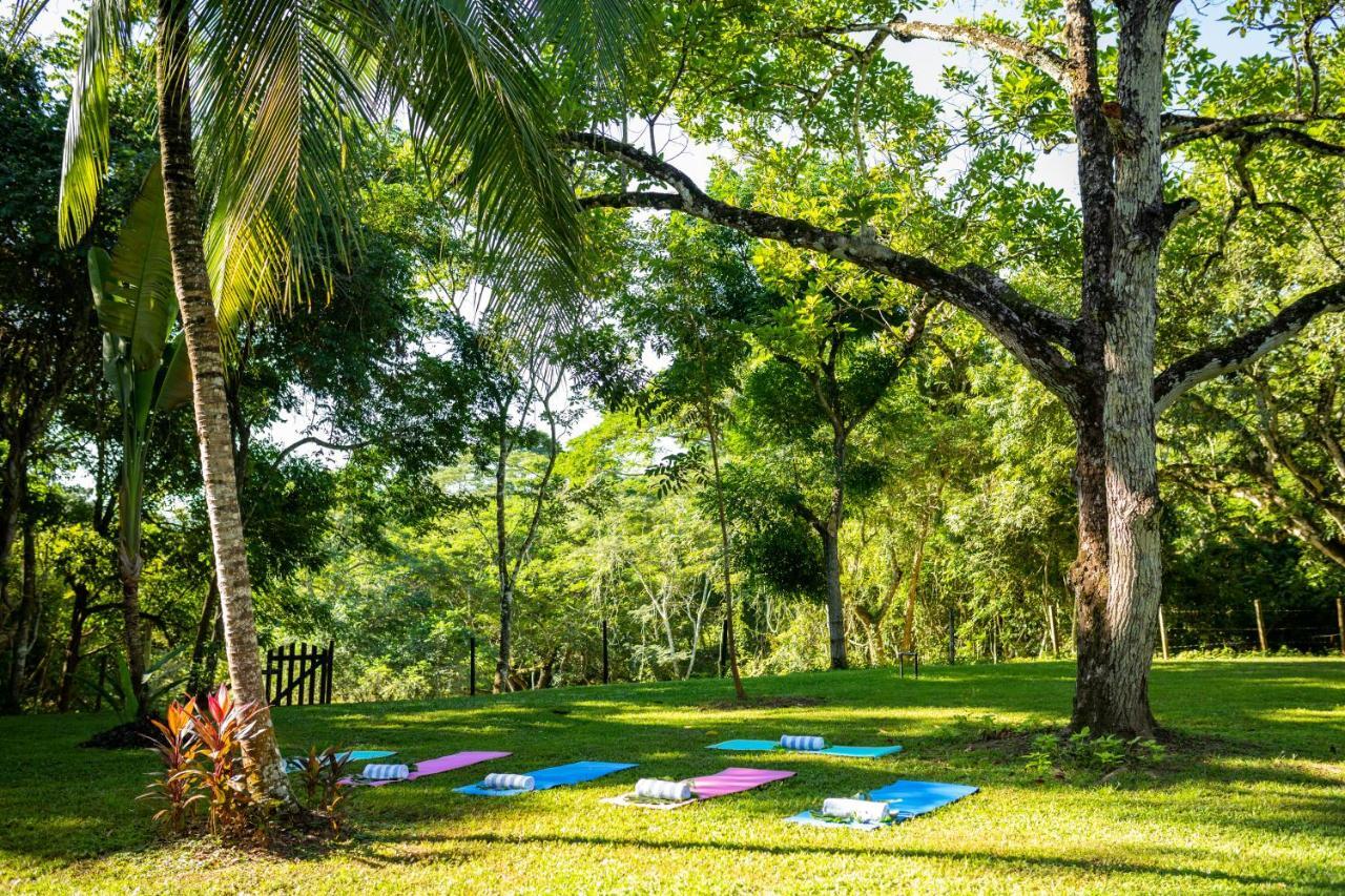Sweet Songs Jungle Lodge San Ignacio Exterior photo